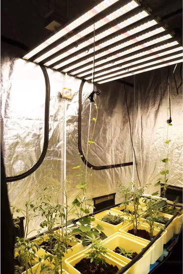 50W/75W/80W/100W/150W/300W/400W/450W/500W/600W/650W/700W/800W/900W/1000W/1200W/1500W COB/SMD LED 成長ライト
