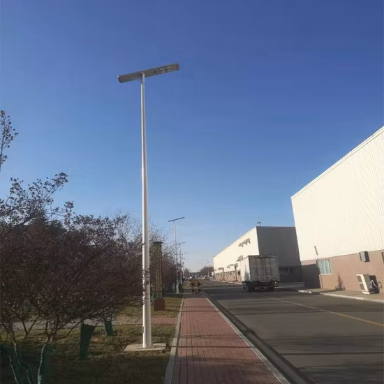 10W 30W 40W 60W 100W 120W IP66 スプリット太陽光発電 LED 街路灯用 ISO9001 工場