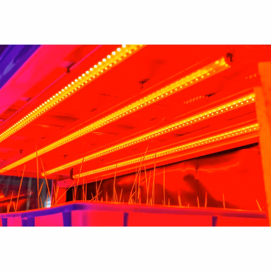 植物管成長ランプ LED フル